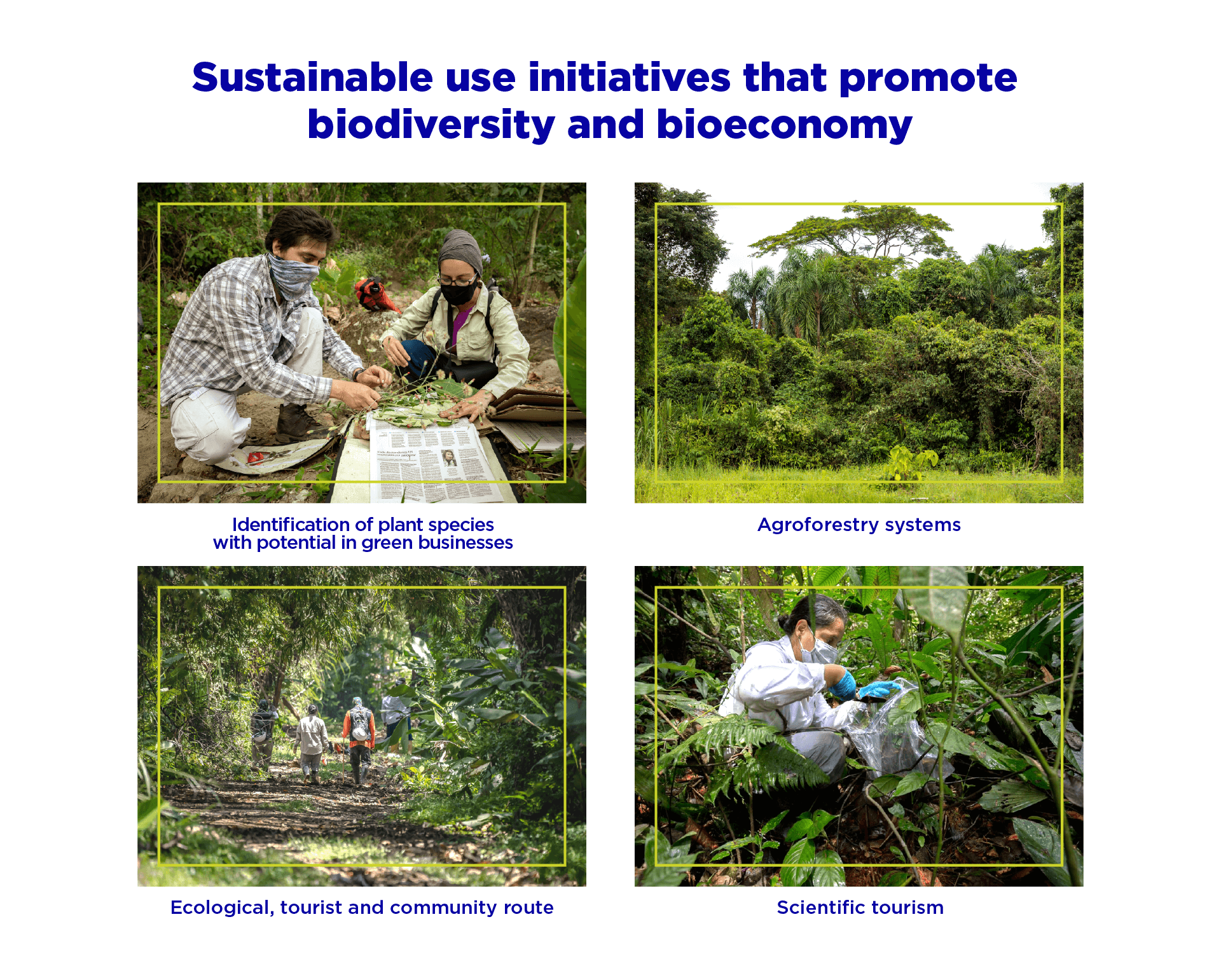 Sustainable use initiatives that promote biodiversity and bioeconomy