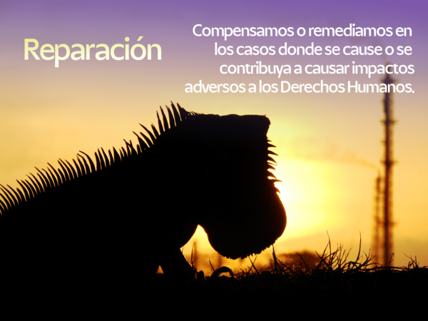 Reparación: compensamos o remediamos en los casos donde se cause o se contribuya a causar impactos adversos a los Derechos Humanos