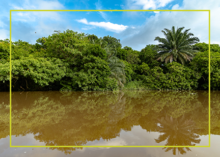 Ecoreserva Centenario La Pácora - Santander