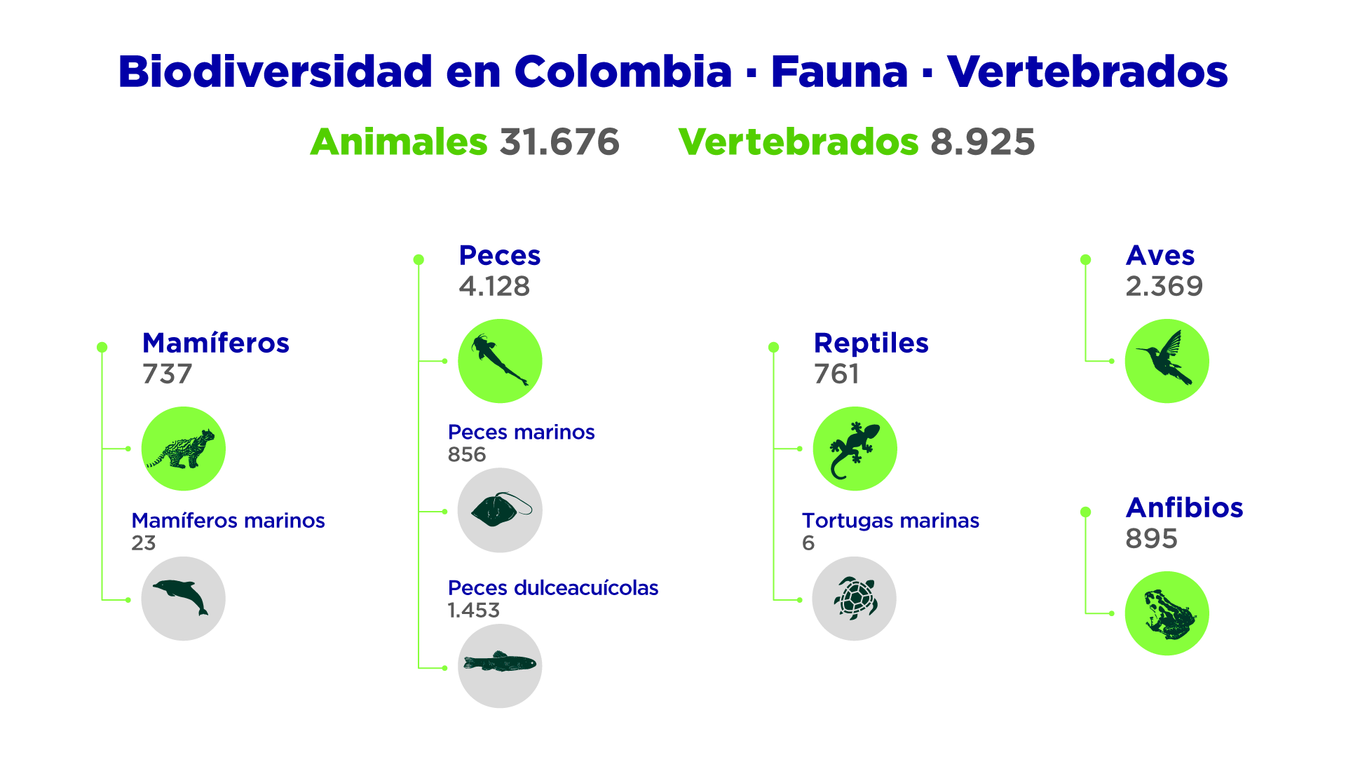 Biodiversidad en Colombia Fauna Vertebrados