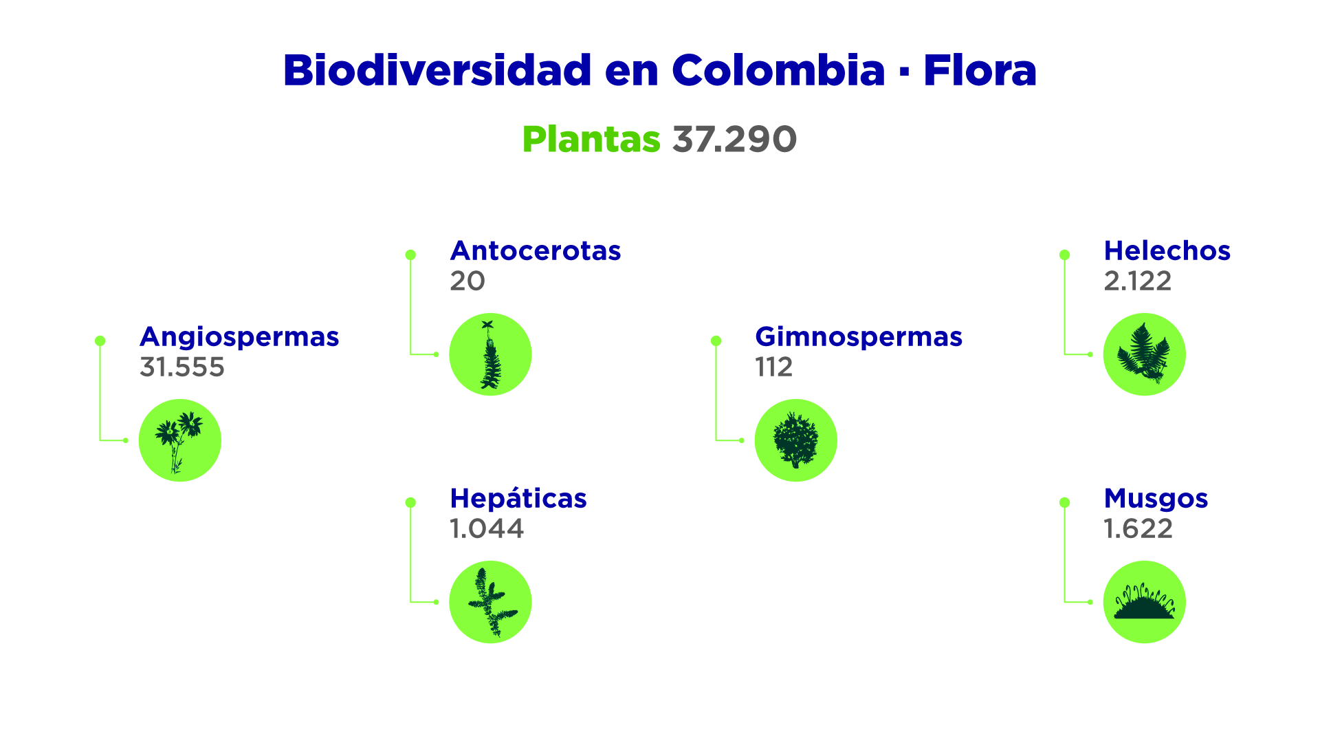 Biodiversidad en Colombia Flora