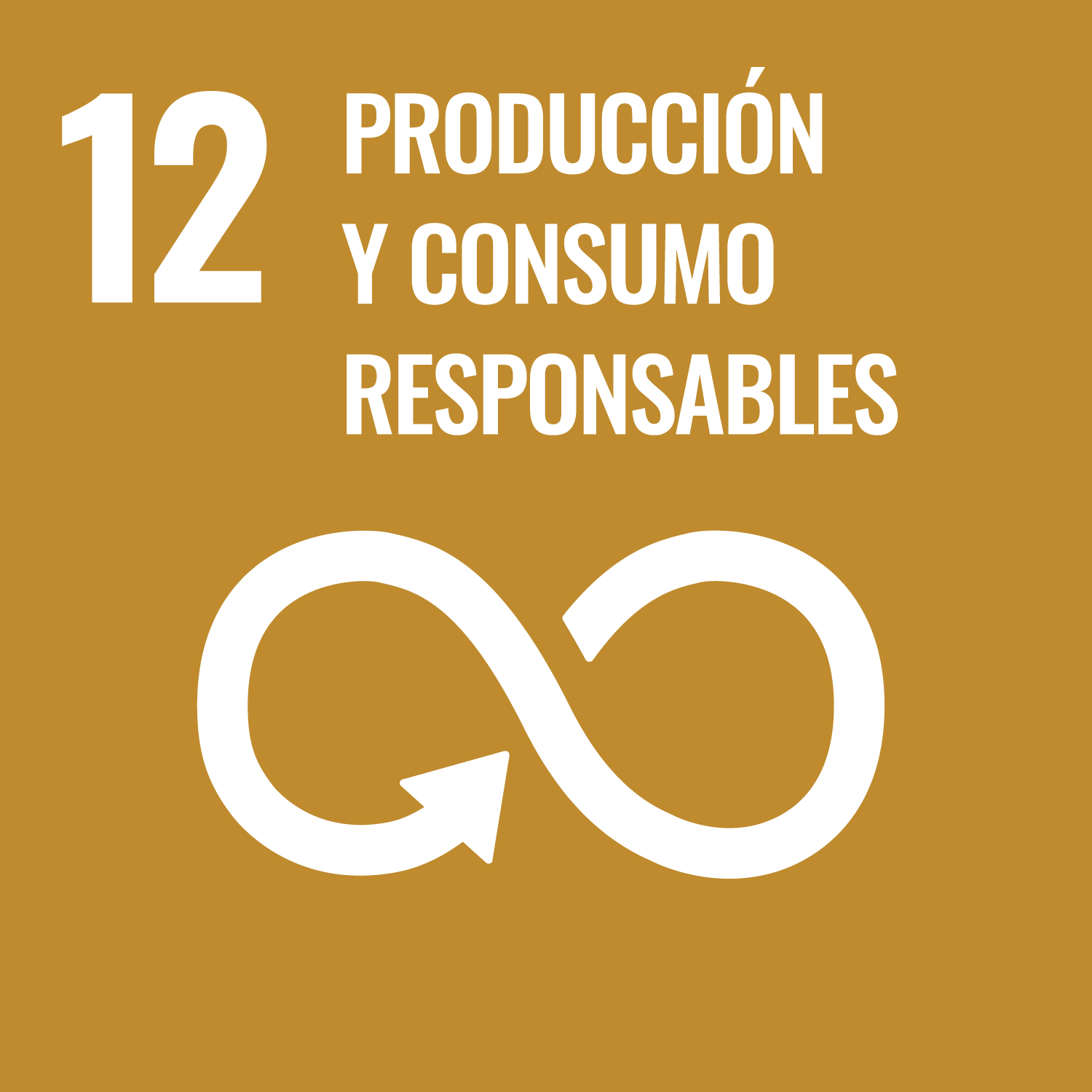 ODS 12 Producción y consumo responsables