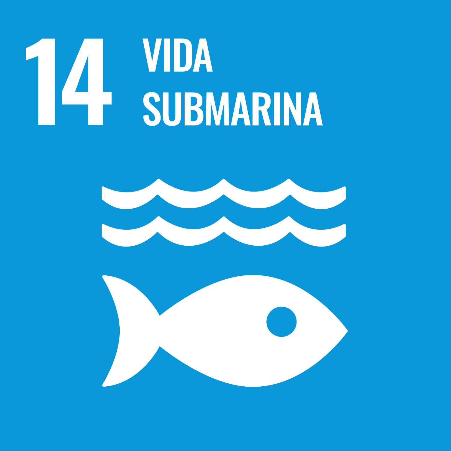 ODS 14 Vida submarina