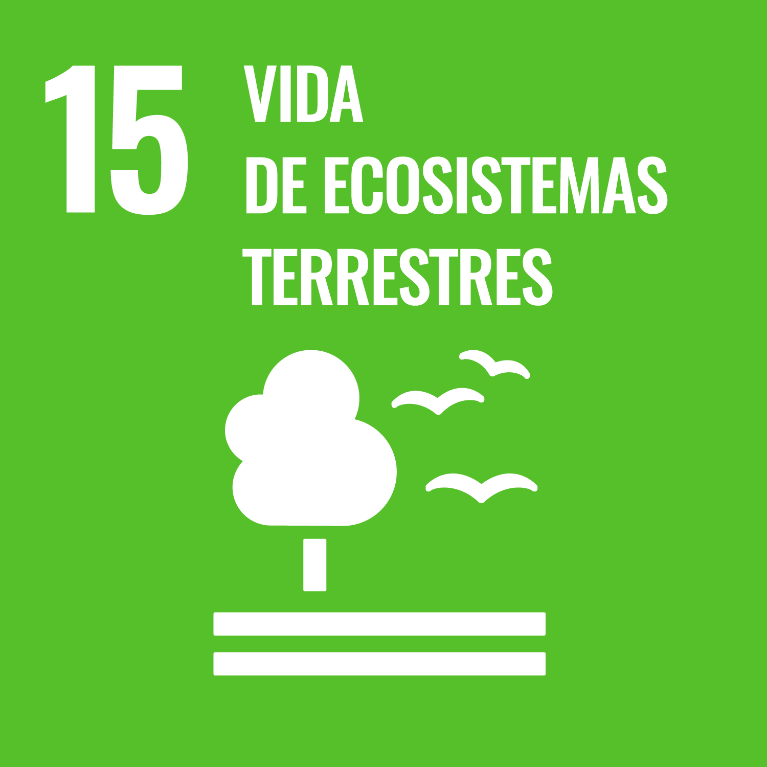 ODS 15 Vida de ecosistemas terrestres