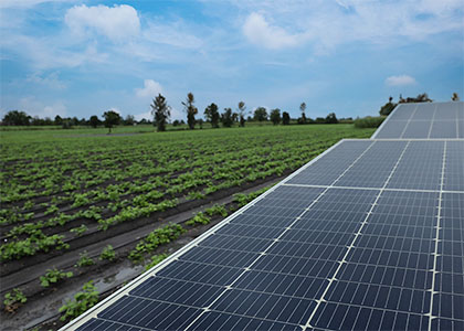 Parques solares que alimentan de energía solar en Cartagena.