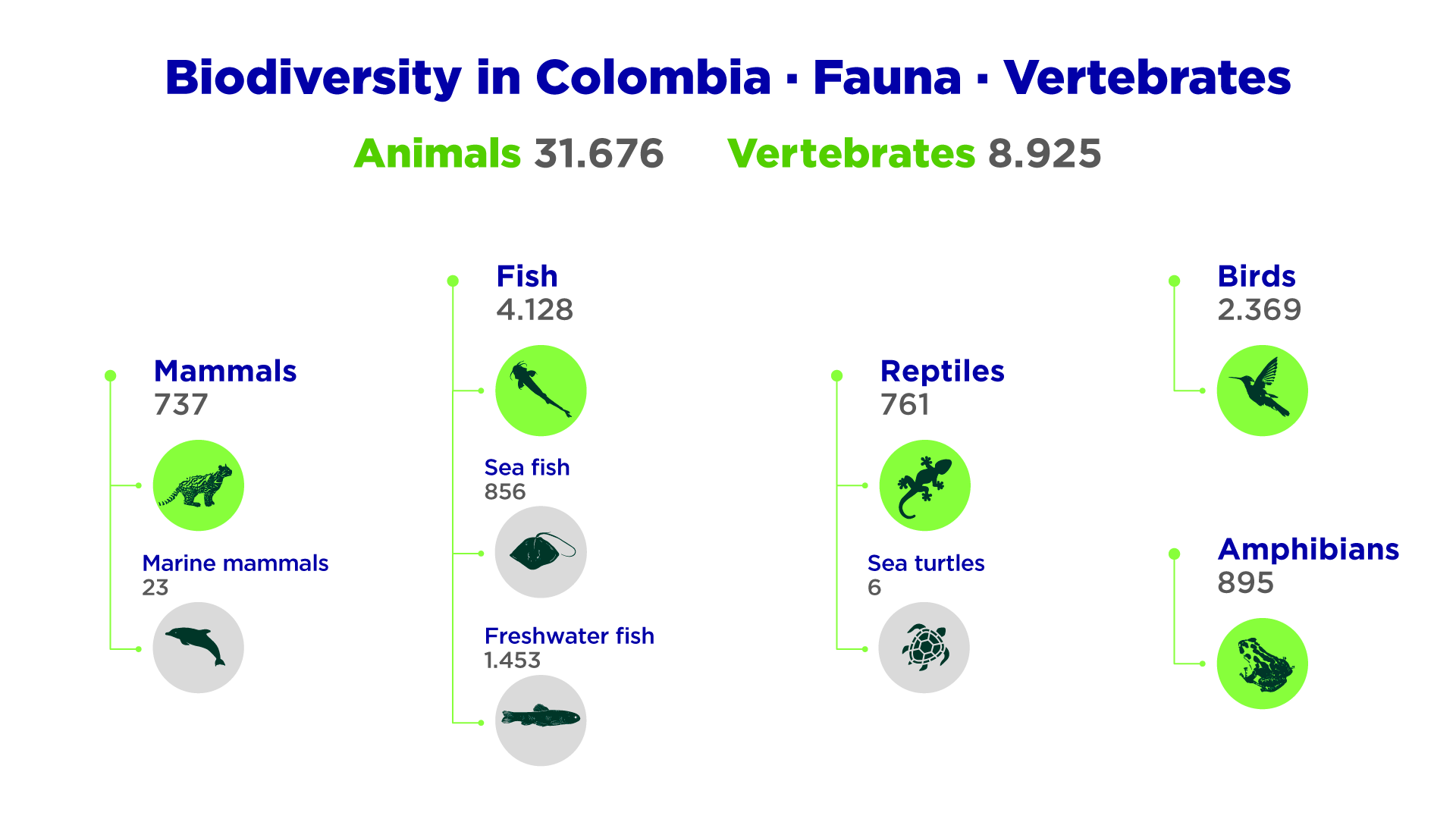 Biodiversity in Colombia Fauna Vertebrates