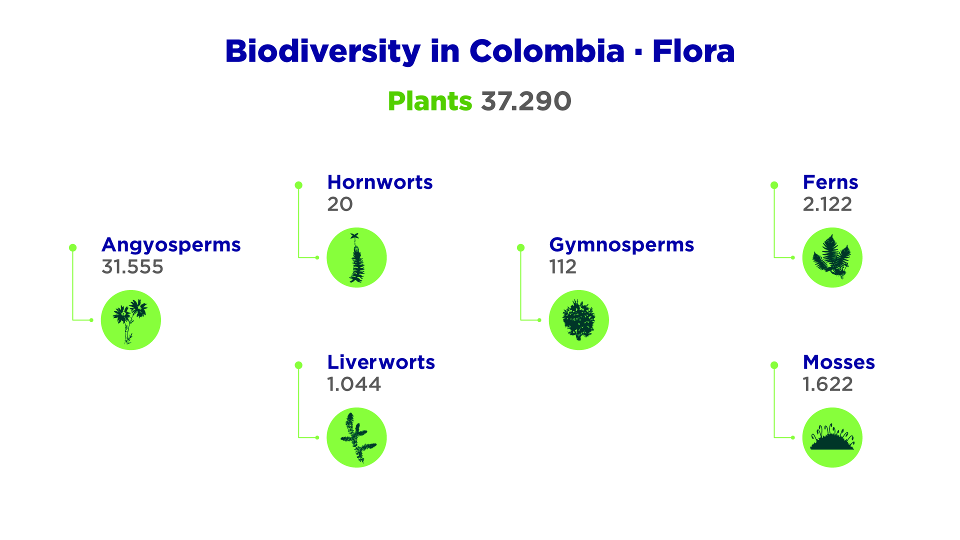 Biodiversity in Colombia Flora