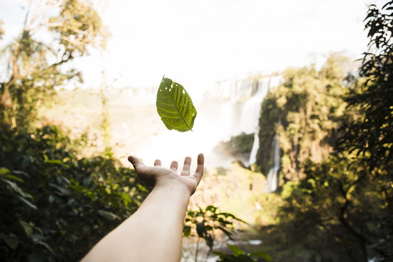 Impacto de Soluciones Basadas en Naturaleza que implementa Ecopetrol