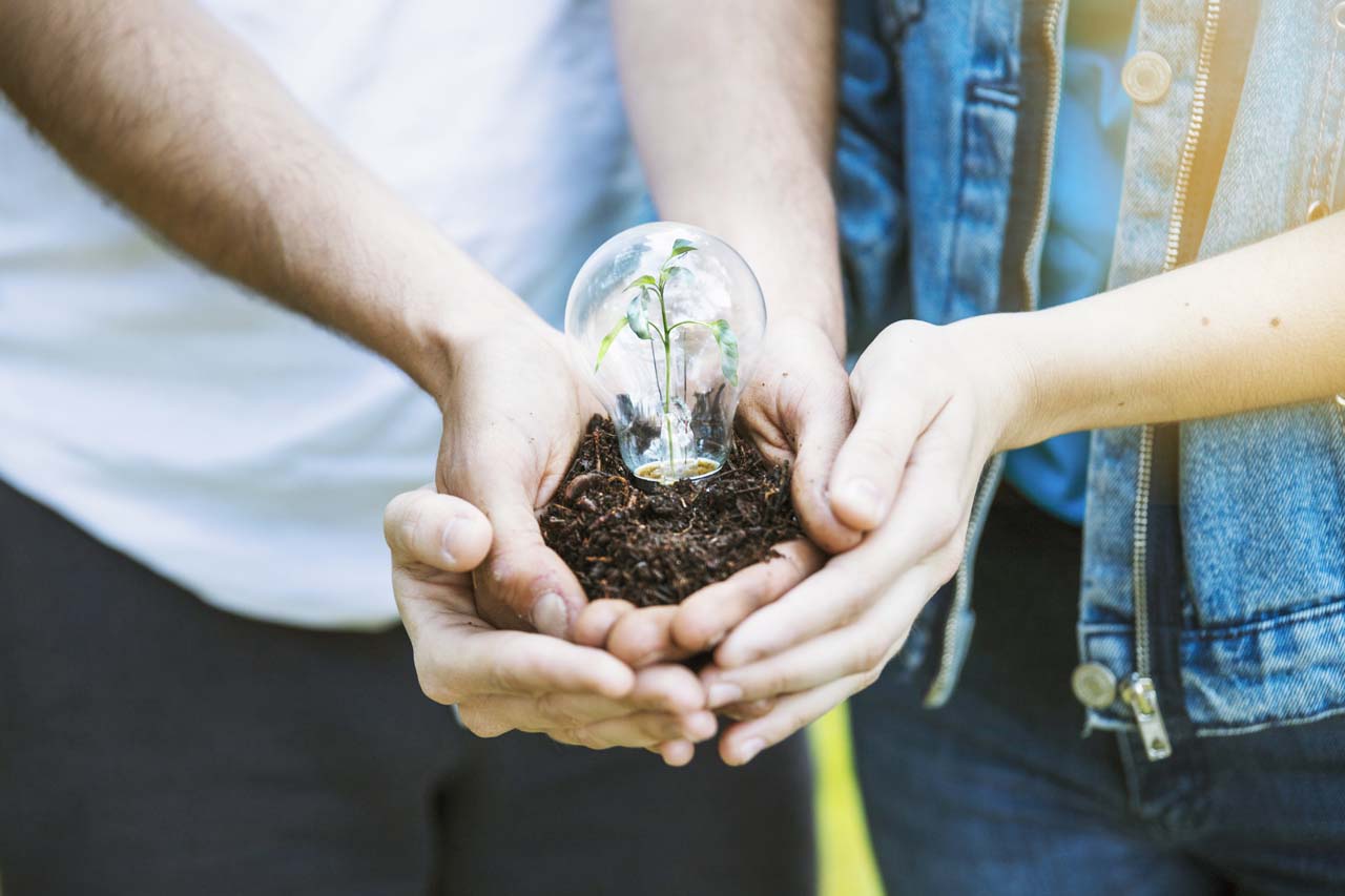 Estrategias de compensación ambiental