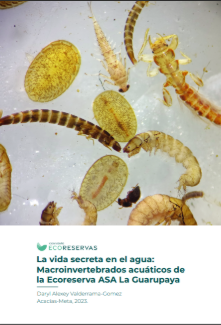 Ciclo de Webinars: Un café por el territorio. Hablemos de conservación y herramientas para la gestión territorial.