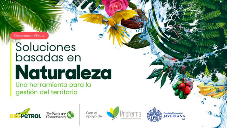 Diplomado de Soluciones Basadas en Naturaleza