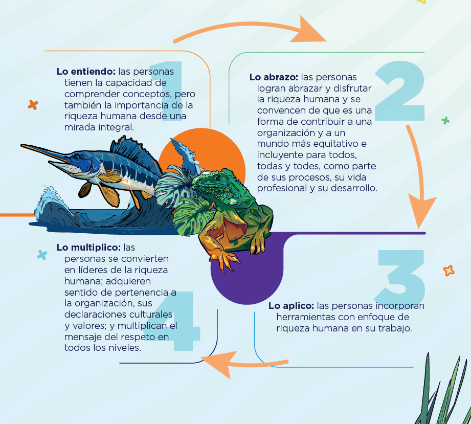 Imagen 1, Imagen