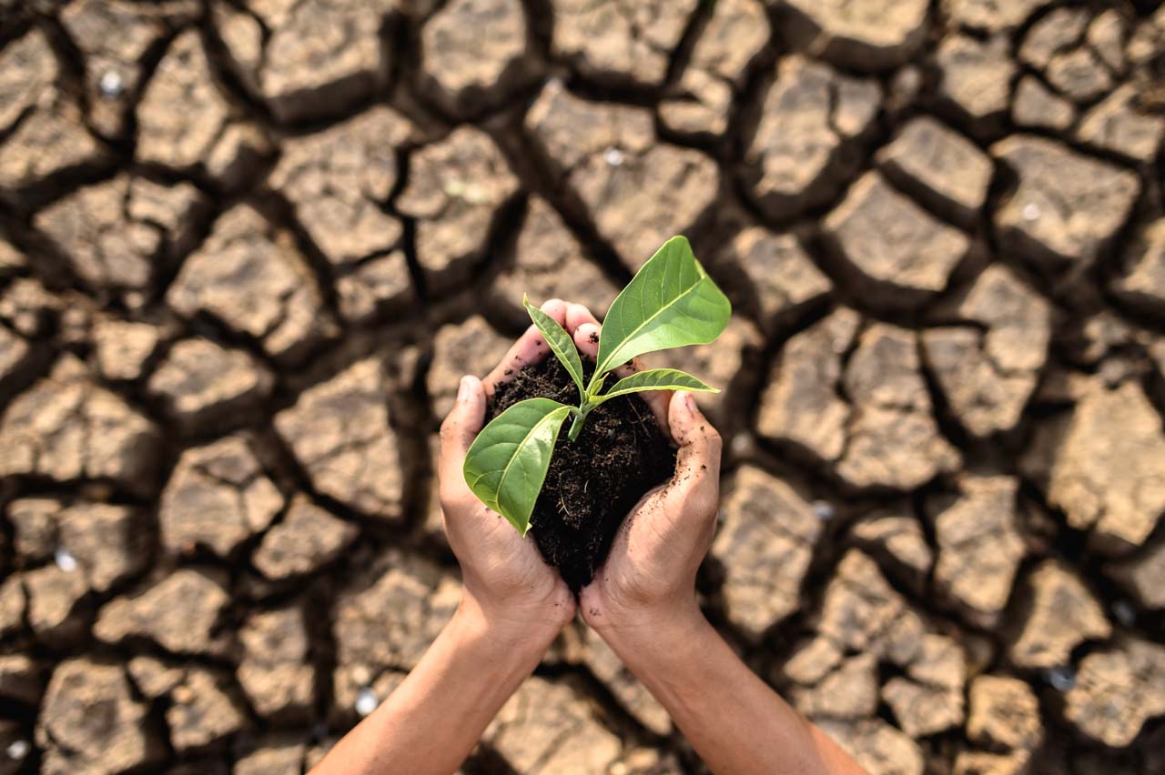 El cambio climático como amenaza para la biodiversidad
