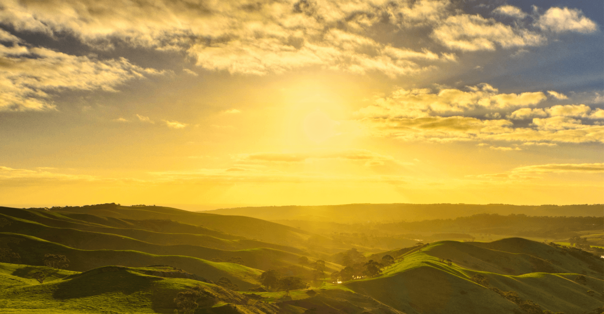 Resultados 2021: los mejores en la historia de Ecopetrol