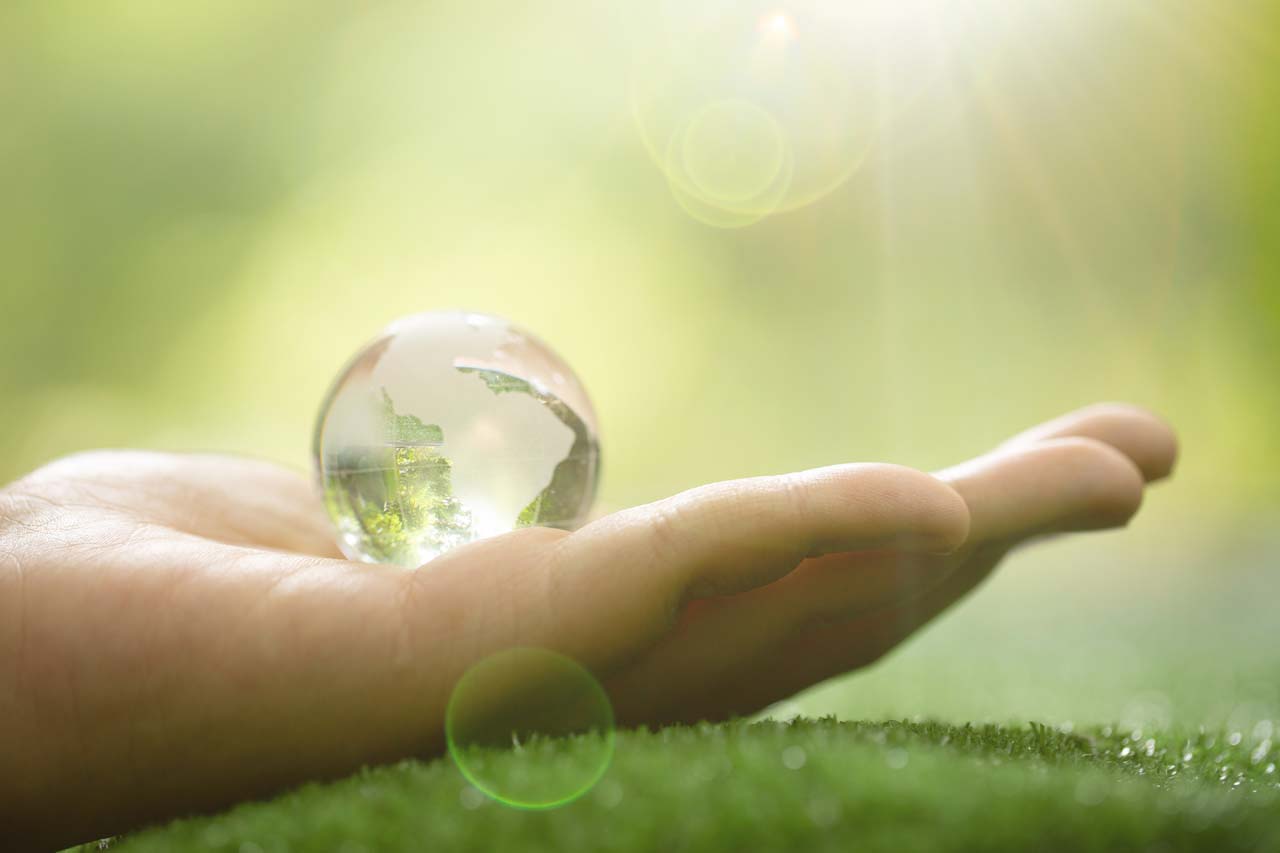 Parques solares para un mañana mejor
