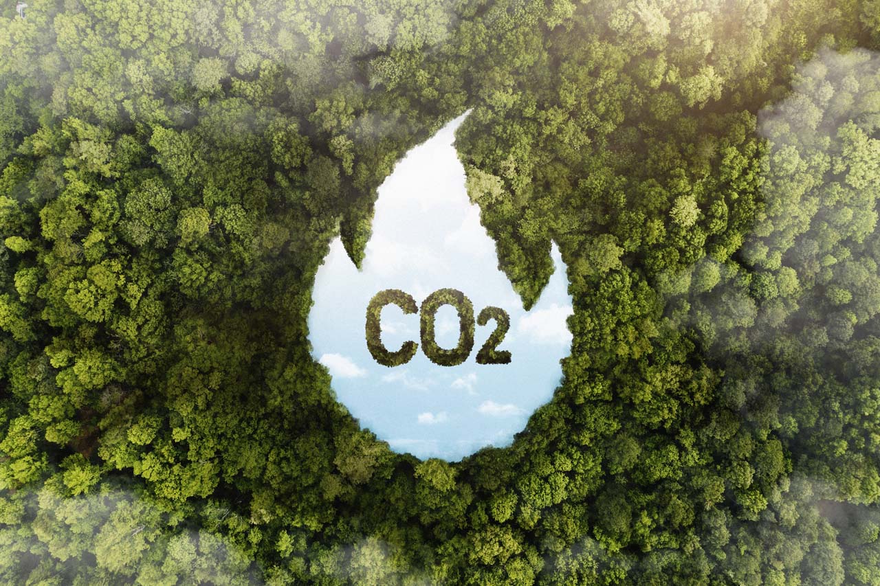 Prácticas sostenibles que benefician al medio ambiente