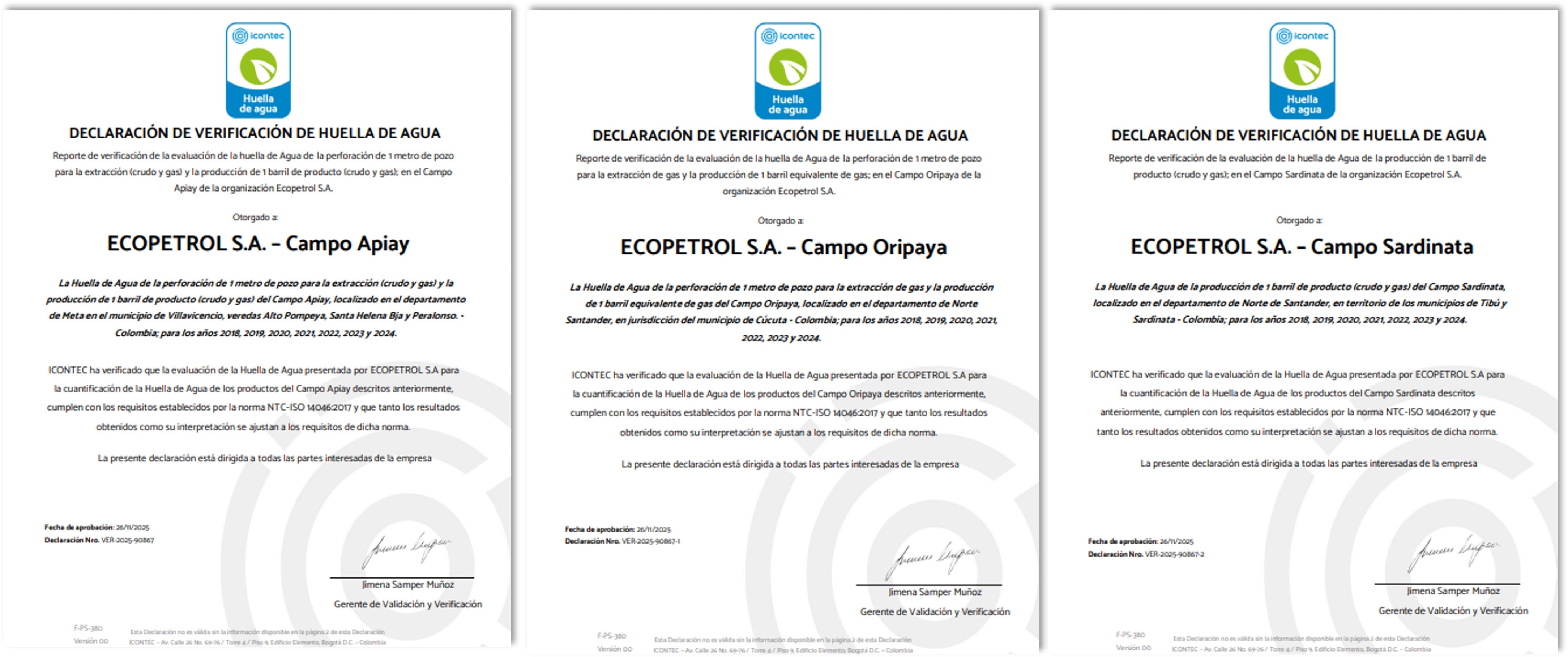 Imagen 5