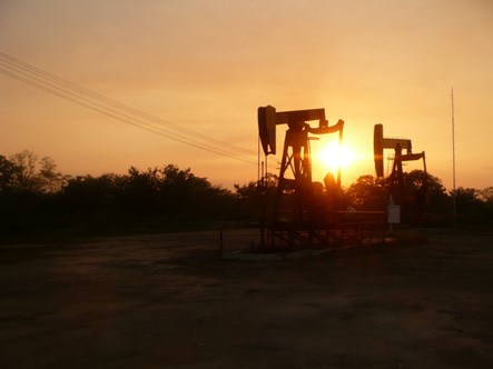 Acciones de Ecopetrol para reducir su huella de carbono y promover el desarrollo sostenible