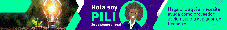 Pili, asistente virtual para ayuda a proveedores, accionistas o trabajadores.