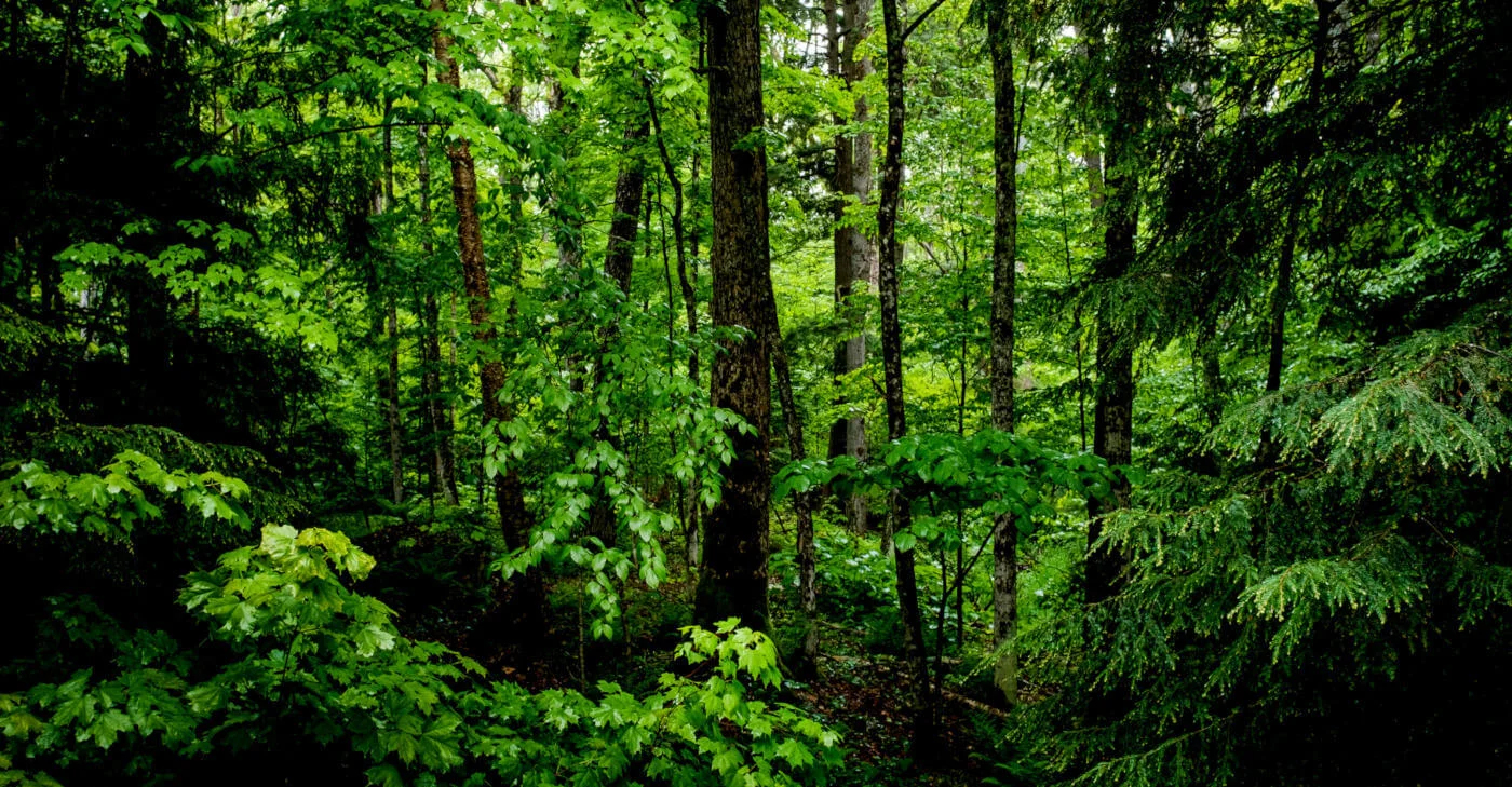 Standard & Poor&rsquo;s destaca avances de Ecopetrol en temas ambientales, sociales y de gobierno corporativo