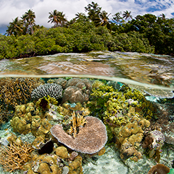La importancia de la conservación de recursos naturales