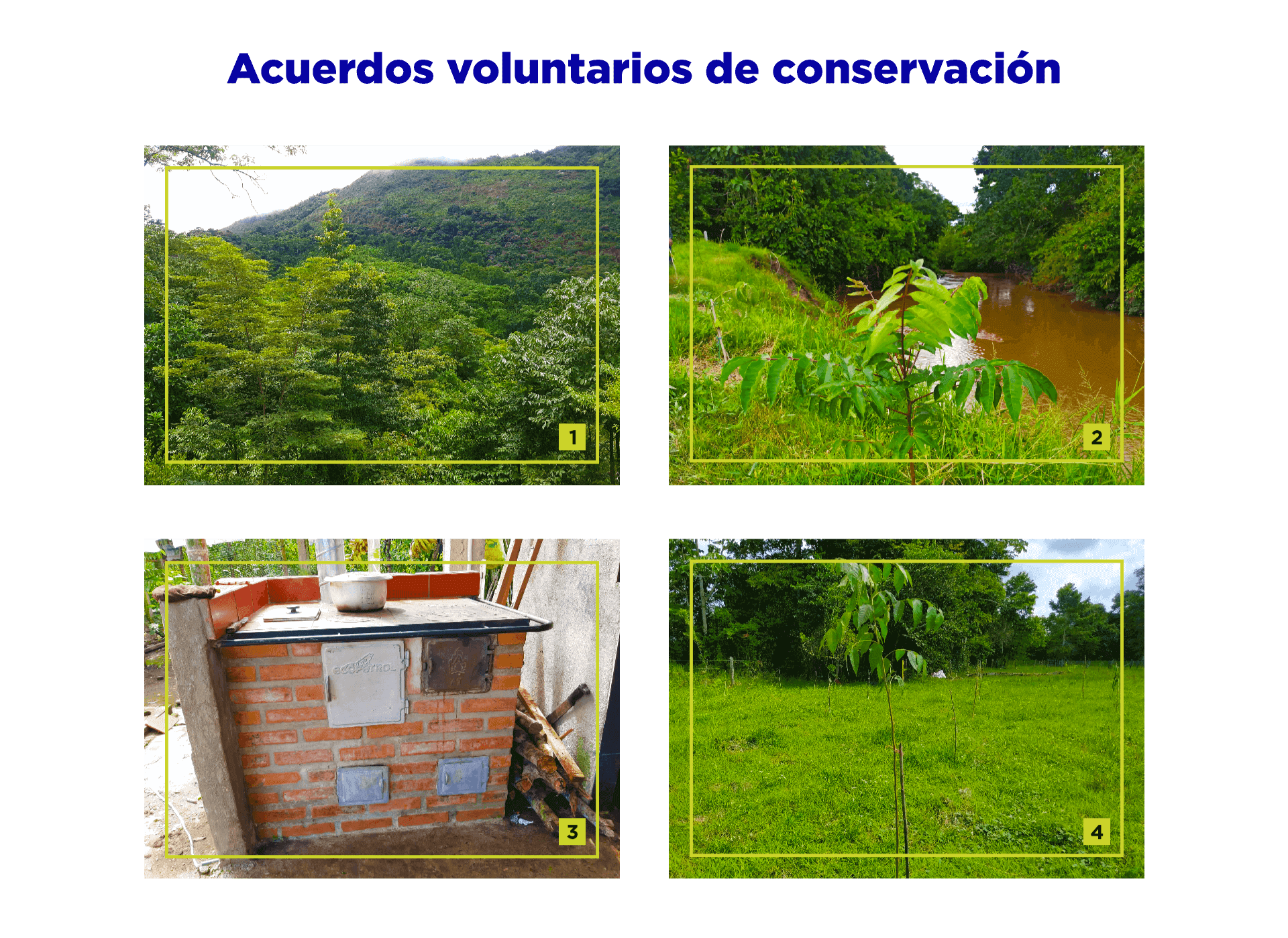 Acuerdos voluntarios de conservación