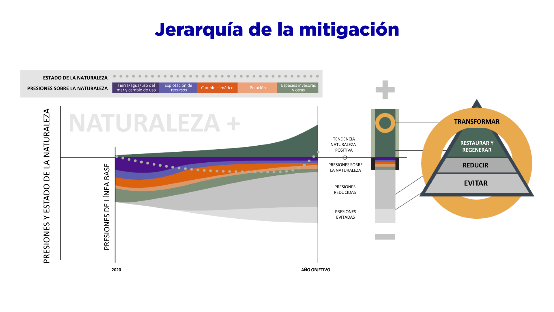 Jerarquía de la mitigación