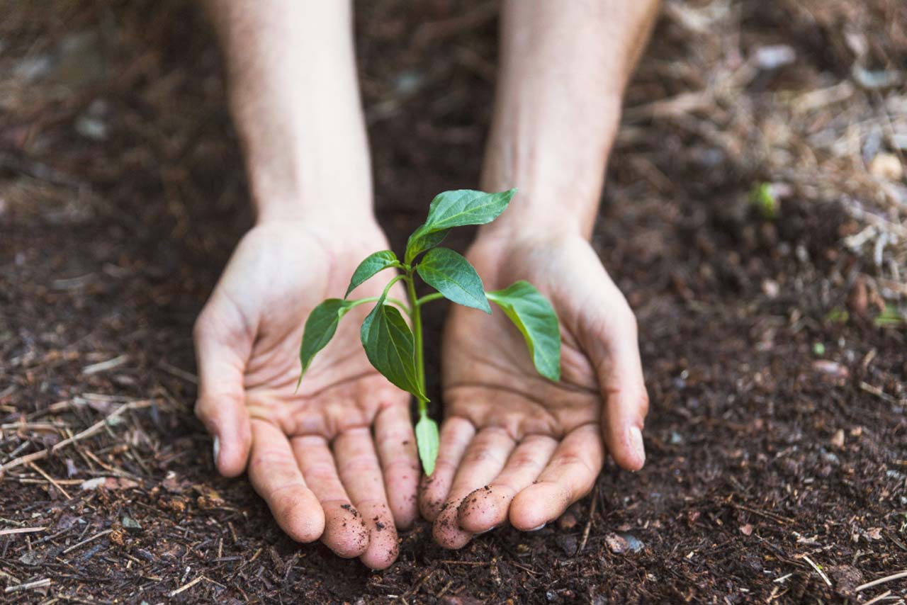 El programa ambiental de Ecopetrol que promueve la sostenibilidad