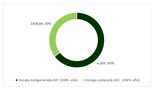 Demanda de energía en 2021