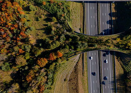 Transporte sostenible: camino hacia una movilidad más limpia
