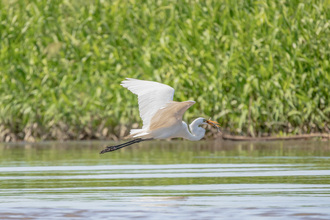 Region Caribe Pacífico