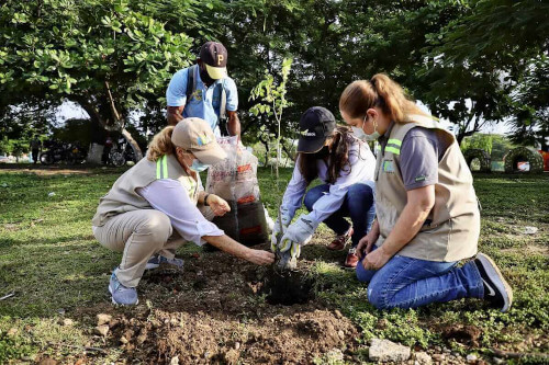 People planting seedlings during Great National Planting Initiative