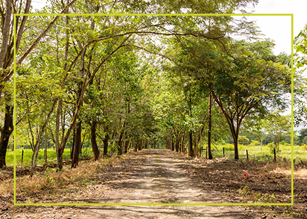 Ecoreserva ASA La Guarupaya - Meta