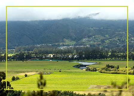 Ecoreserva La Sabana - Cundinamarca