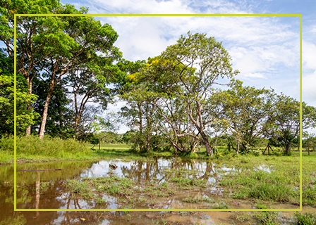 Ecoreserva El Zocay - Meta