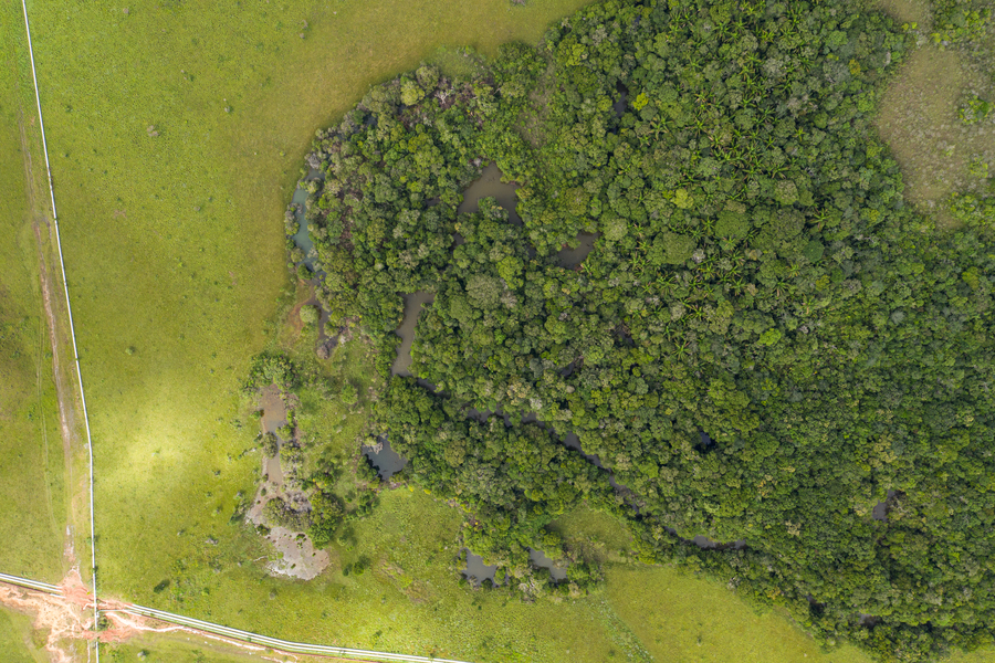 Licencias Ambientales