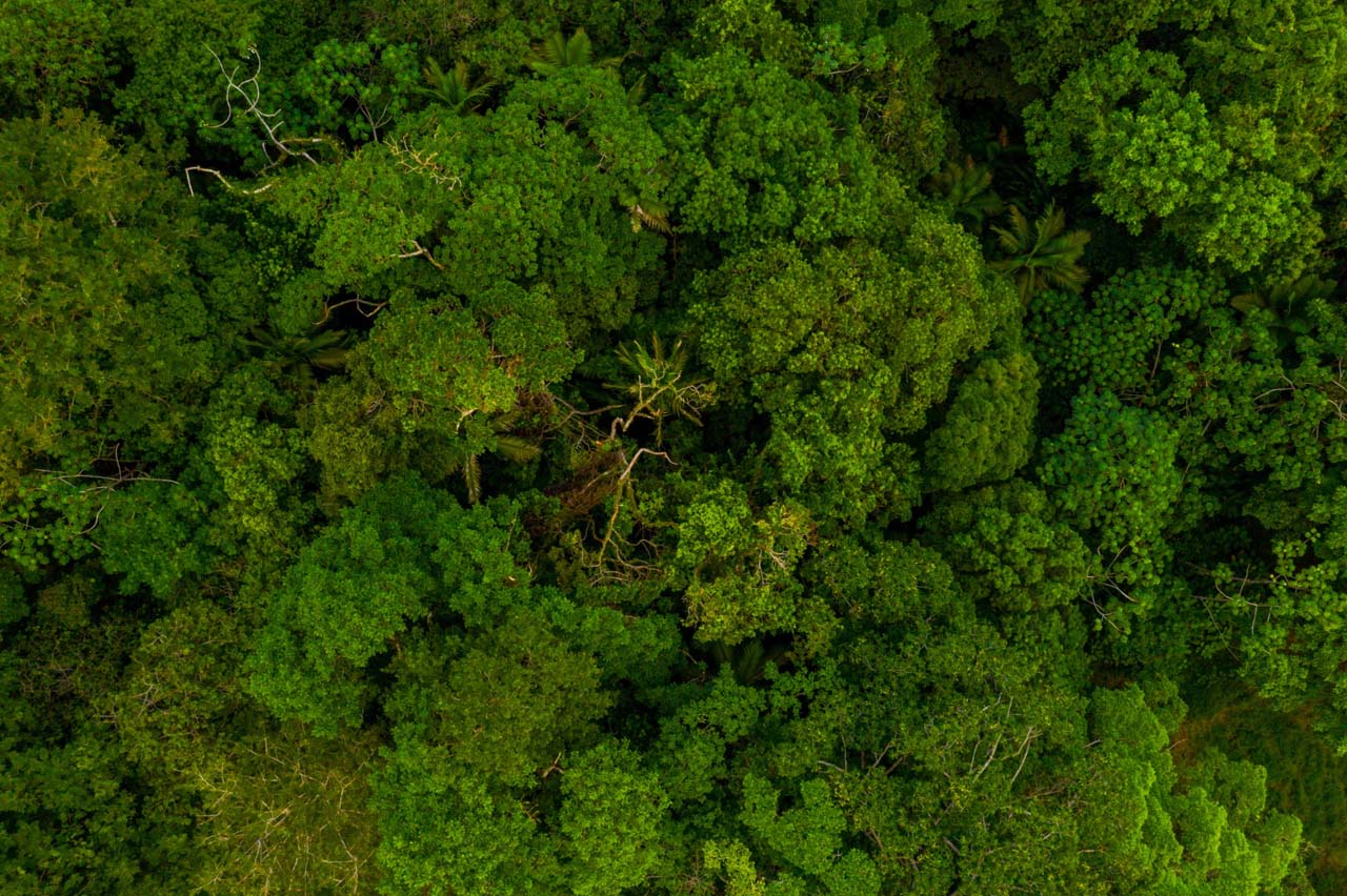 Prácticas que generan un impacto positivo en el medio ambiente