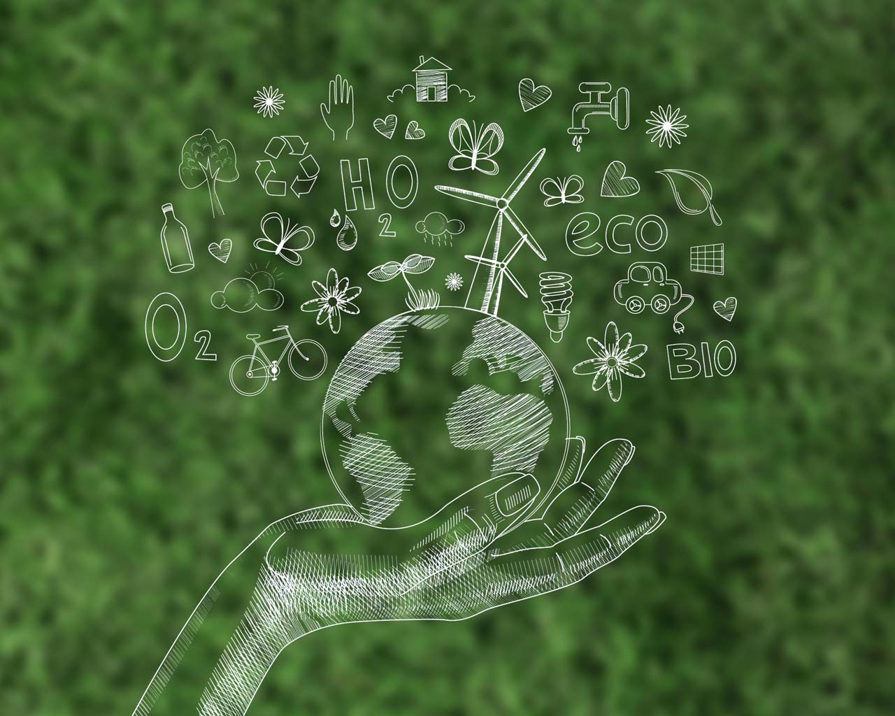 La importancia de la innovación en la economía circular La importancia de la innovación en la economía circular