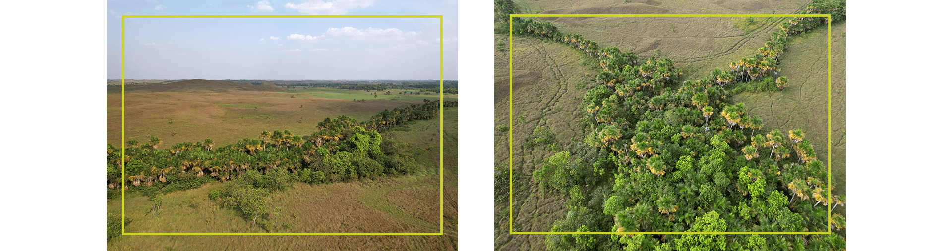 Restoration efforts in Santa Helena municipality of Puerto Gaitán Meta